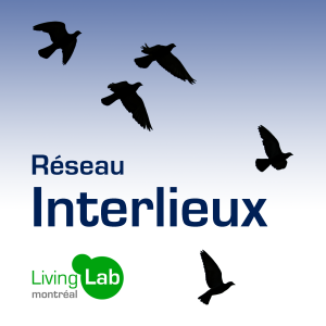 Logo-Oiseaux-LLM